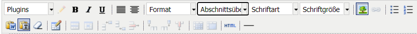 Texteditor im CMS mit einem aktivierten Icon für "Bild einfügen"