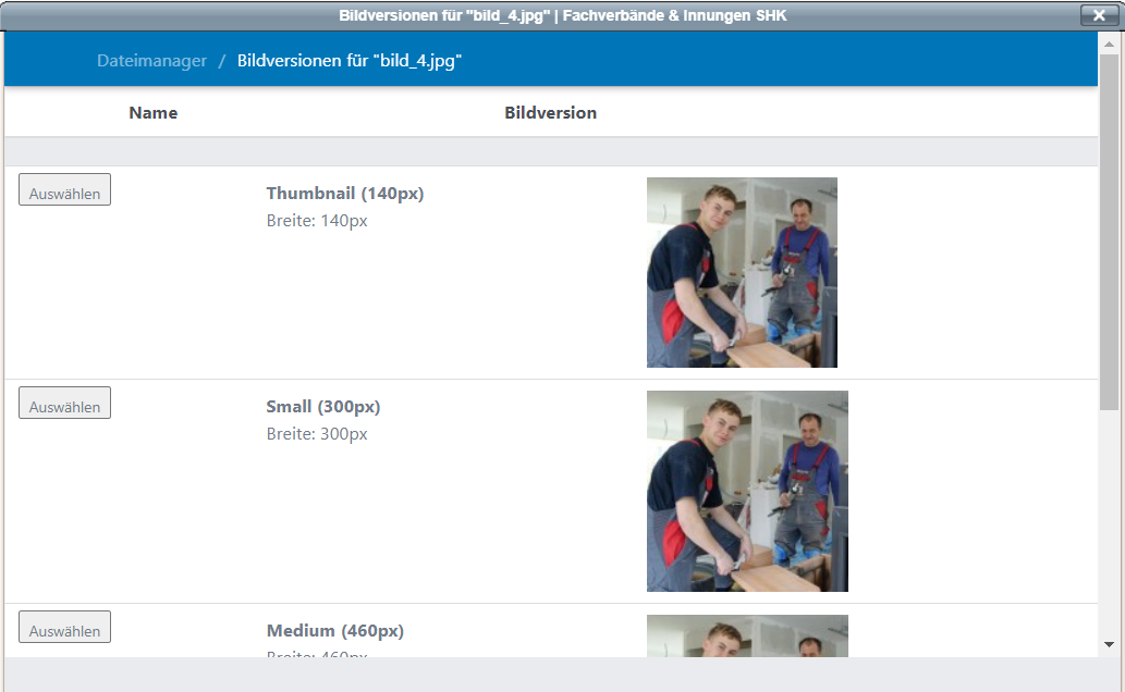 Bildversionen Liste verschiedener Optionen für ein Bild, hier Thumbnail, Small und Medium